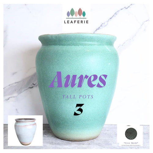 The leaferies Aures tall pot series 3 . 2 colours ceramic pot