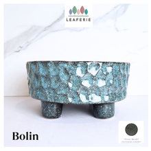 Load image into Gallery viewer, Bolin Shallow Flowerpot
