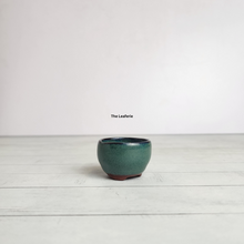 Load image into Gallery viewer, Petit Bonsai Pot (Series 8)
