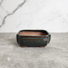 Load image into Gallery viewer, Bonsai Flowerpot (Series 22)
