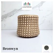 Load image into Gallery viewer, Bronwyn Flowerpot
