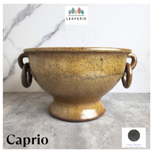 Load image into Gallery viewer, Caprio Flowerpot / Fish bowl
