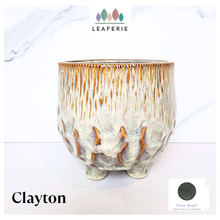 Load image into Gallery viewer, Clayton Flowerpot
