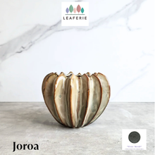 Load image into Gallery viewer, Joroa Flowerpot
