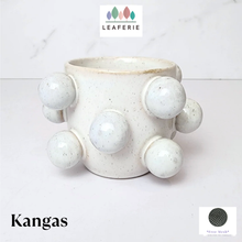 Load image into Gallery viewer, Kangas Flowerpot
