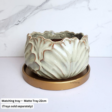 Load image into Gallery viewer, The Leaferie Kolden Shallow pot. ceramic material and beige colour.
