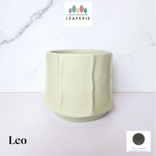 Load image into Gallery viewer, Leo Flowerpot
