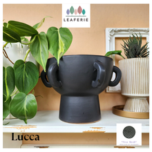 Load image into Gallery viewer, Lucca Pot (2 sizes)
