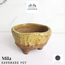 Load image into Gallery viewer, Handmade MILA Flowerpot
