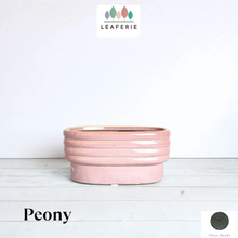 Load image into Gallery viewer, Peony Flowerpot
