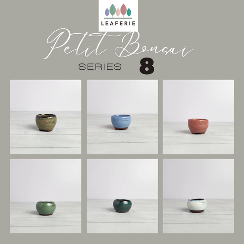 The Leaferie petit bonsai pot series 6. small succulent pots