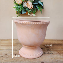 Load image into Gallery viewer, The Leaferie croia terracotta wall hanging planter. front view size

