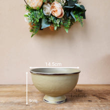 Load image into Gallery viewer, The Leaferie Grainne pot. 2 colours beige and yellow. ceramic shallow pot
