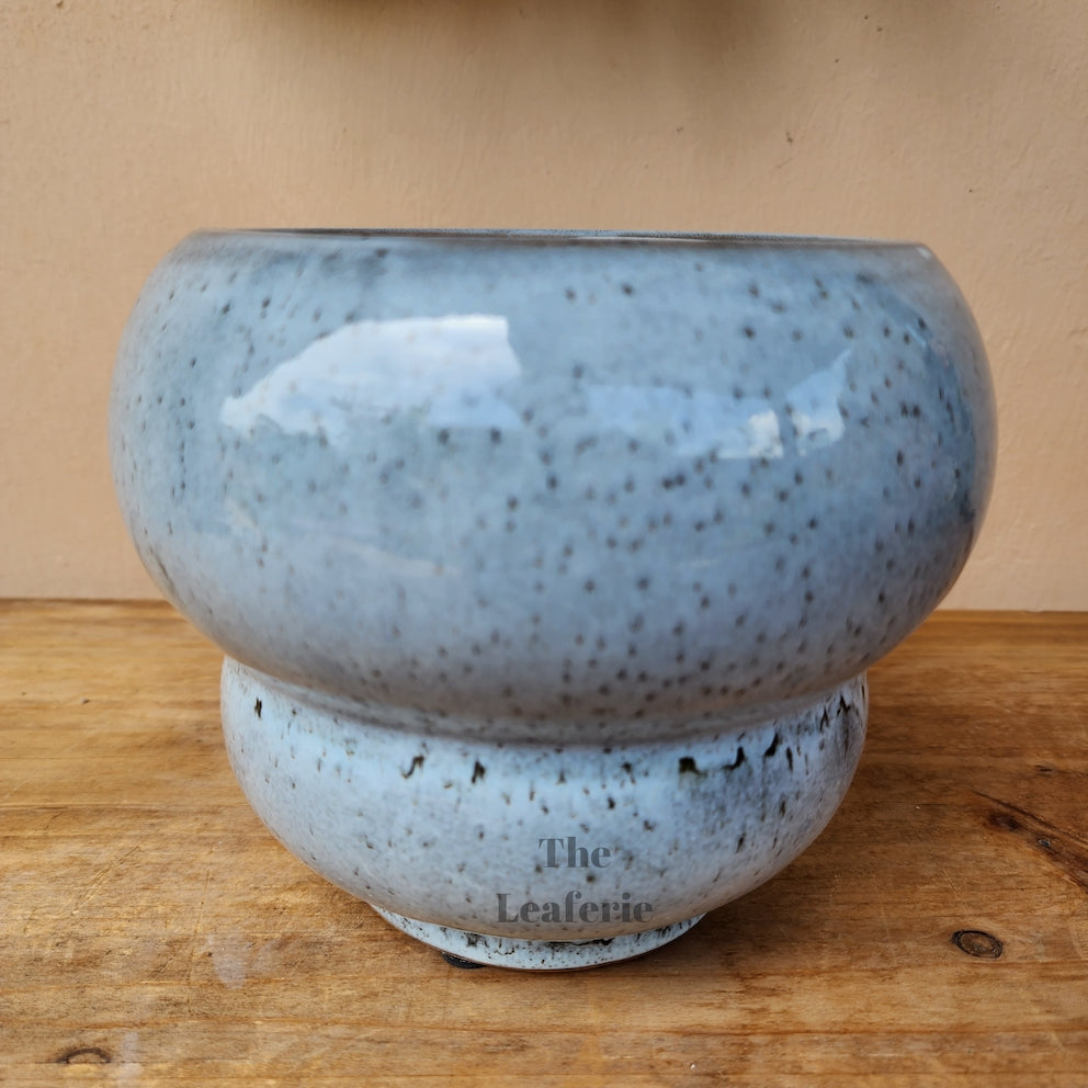 The Leaferie Cedric ceramic pot. 2 designs . front view of Design B