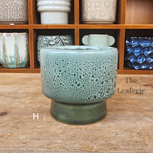 Load image into Gallery viewer, The Leaferie Petit pots series 9. 12 designs small planter. suitable for succulents. Design H
