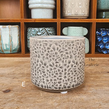 Load image into Gallery viewer, The Leaferie Petit pots series 9. 12 designs small planter. suitable for succulents. Design E

