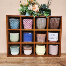 Load image into Gallery viewer, The Leaferie Petit pots Series 8. small ceramic pots suitable for succulents. 12 designs. 
