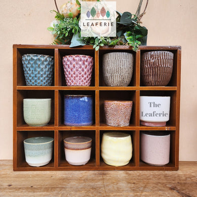 The Leaferie Petit pots Series 8. small ceramic pots suitable for succulents. 12 designs. 