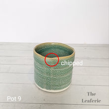 Load image into Gallery viewer, As-Is Pots Batch May 2023 (12 items)
