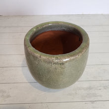 Load image into Gallery viewer, The Leaferie Vespasian green glossy ceramic pot
