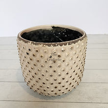 Load image into Gallery viewer, The Leaferie Eluon planter. cream ceramic pot. front view
