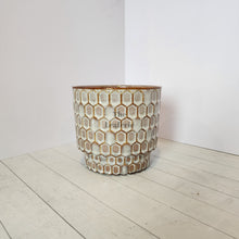 Load image into Gallery viewer, The Leaferie Alphonse ceramic plant pot. front view

