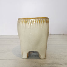 Load image into Gallery viewer, The Leaferie Maolisa ceramic tooth flowepot
