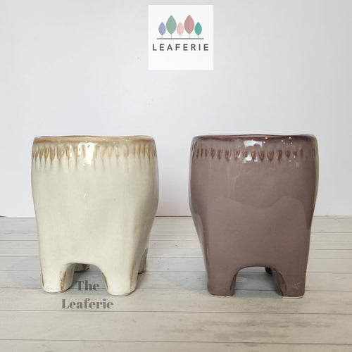The Leaferie Maolisa ceramic tooth flowepot