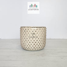 Load image into Gallery viewer, The Leaferie Eluon planter. cream ceramic pot. front view
