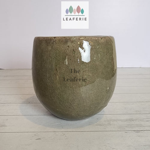 The Leaferie Vespasian green glossy ceramic pot