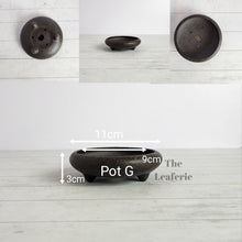 Load image into Gallery viewer, Petit Bonsai Tray (Series 4)
