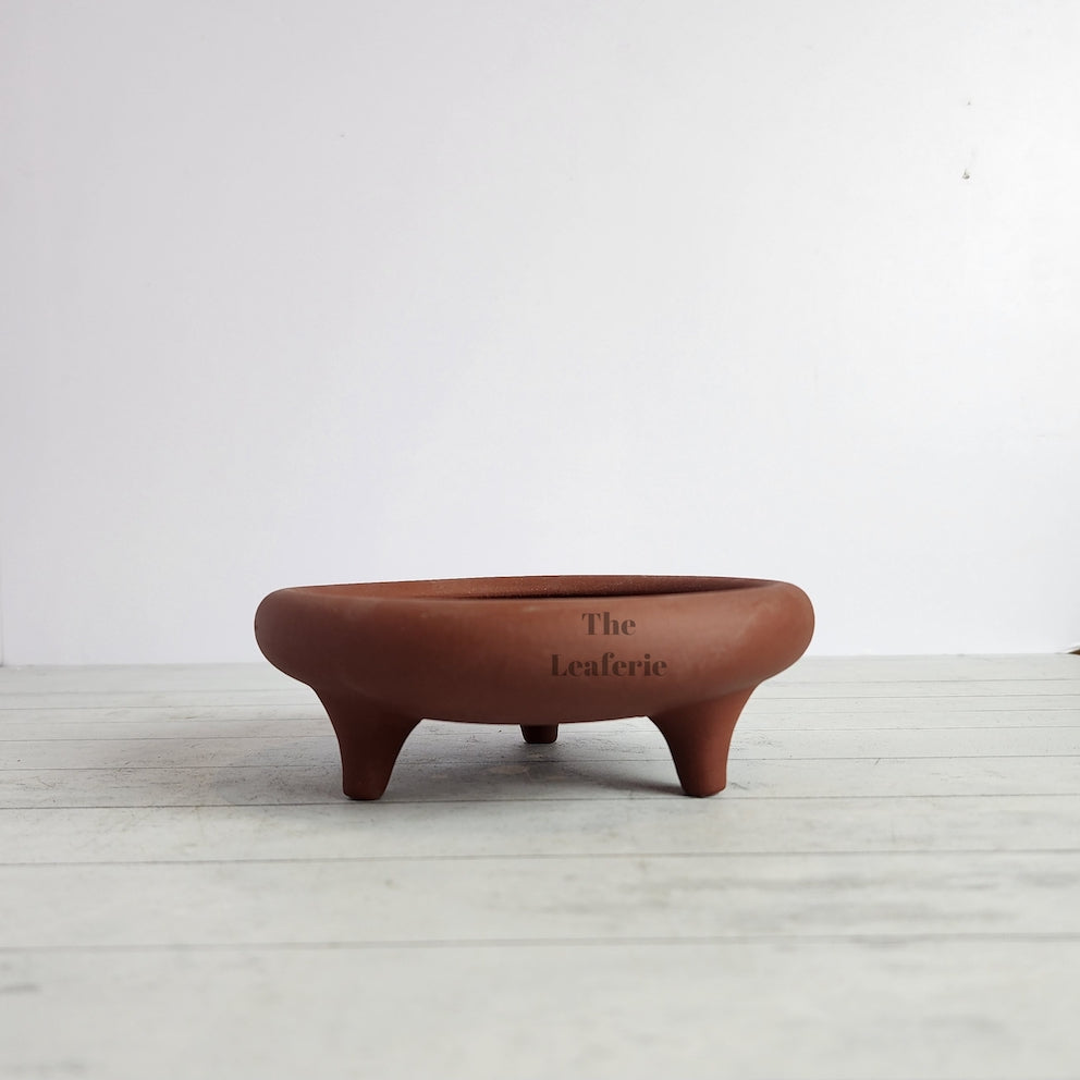 Petit Bonsai Tray (Series 4)