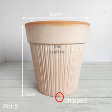 Load image into Gallery viewer, As-Is Pots Batch July 2023 (16 items)
