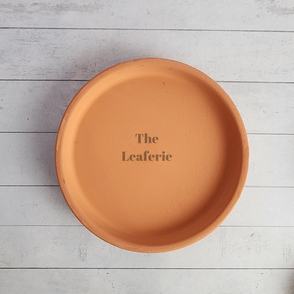 The Leaferie Terracotta round trays with stand . 3 sizes.  top view of 15.5cm