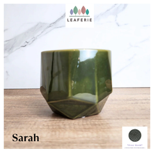 Load image into Gallery viewer, Sarah Flowerpot
