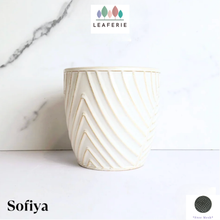 Load image into Gallery viewer, Sofiya Flowerpot
