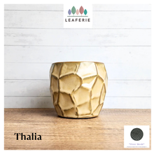 Load image into Gallery viewer, Thalia Flowerpot
