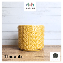 Load image into Gallery viewer, Timothia Flowerpot
