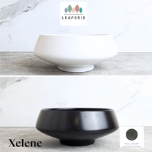 Load image into Gallery viewer, Xelene Flowerpot
