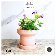 Load image into Gallery viewer, Yara Terracotta Flowerpot with Tray
