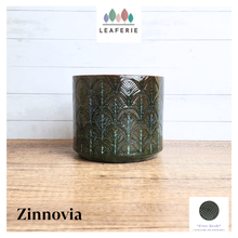 Load image into Gallery viewer, Zinnovia Flowerpot
