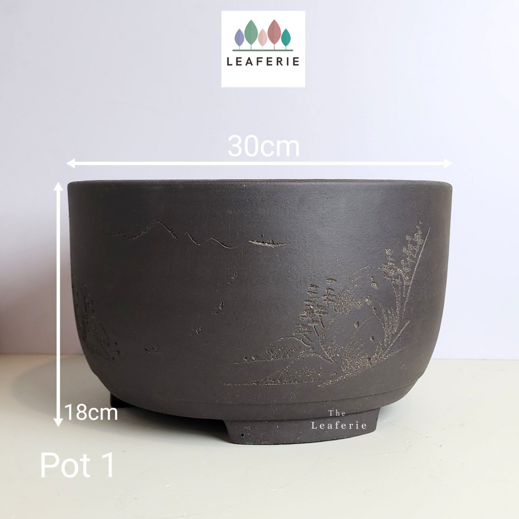 As-Is Pots Batch September 2023 (13 items)