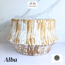 Load image into Gallery viewer, Alba Big Flowerpot
