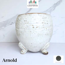Load image into Gallery viewer, Arnold Flowerpot
