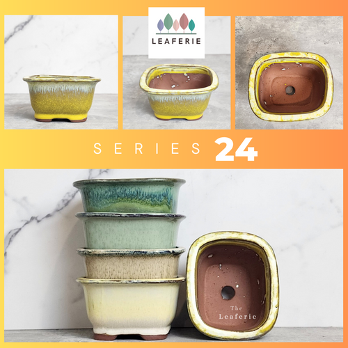 The Leaferie Bonsai Pot series 24. 5 colour rectangular zisha tray. front view