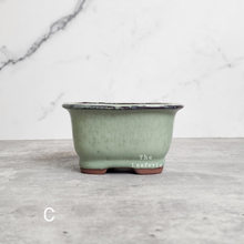Load image into Gallery viewer, The Leaferie Bonsai Pot series 24. 5 colour rectangular zisha tray. front view of Design C
