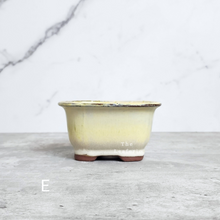 Load image into Gallery viewer, The Leaferie Bonsai Pot series 24. 5 colour rectangular zisha tray. front view of Design E

