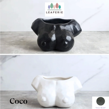 Load image into Gallery viewer, Coco Flowerpot
