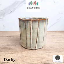 Load image into Gallery viewer, Darby Flowerpot
