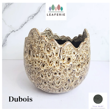 Load image into Gallery viewer, Dubois Egg Flowerpot (2 Colors)
